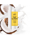 Dadi'Lip Balm Pack 12 unidades