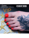 Reserva CURSO VIP PERDICURA GELLI