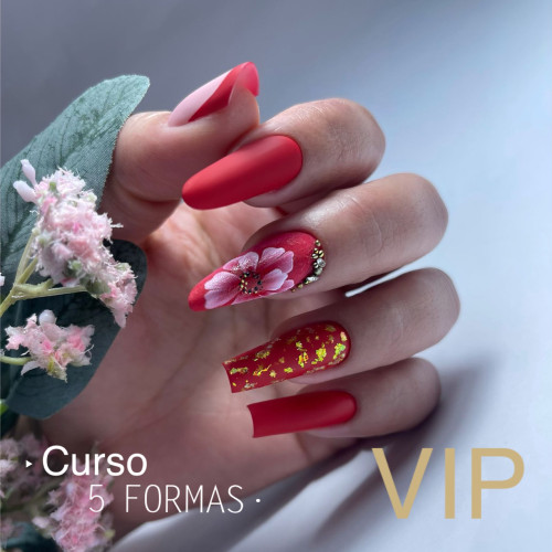 CURSO VIP PERSONALIZADOS 5 FORMAS