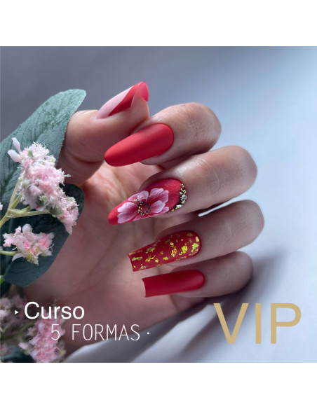 CURSO VIP PERSONALIZADOS 5 FORMAS