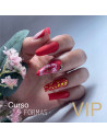 CURSO VIP PERSONALIZADOS 5 FORMAS