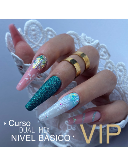 RESERVA CURSO VIP DUAL MIX NIVEL BÁSICO