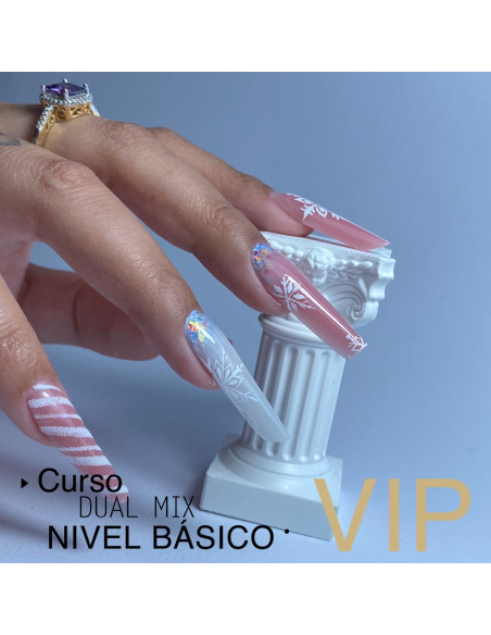 RESERVA CURSO VIP DUAL MIX NIVEL BÁSICO