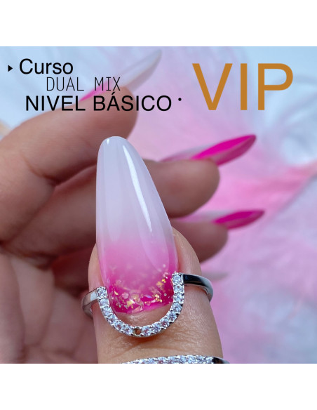 RESERVA CURSO VIP DUAL MIX NIVEL BÁSICO