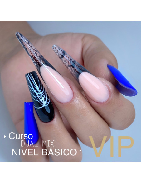 RESERVA CURSO VIP DUAL MIX NIVEL BÁSICO