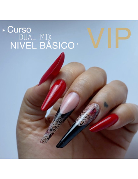 RESERVA CURSO VIP DUAL MIX NIVEL BÁSICO
